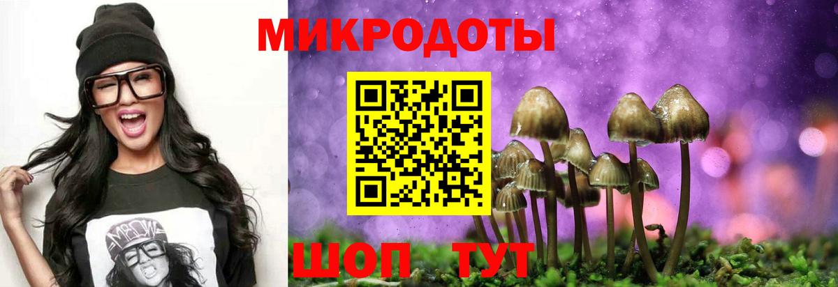 Галлюциногенные грибы MAGIC MUSHROOMS  Вход с VPN  Джанкой 